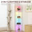 HOMCOM RGB LED Floor Lamp with Shelves 4-Tier Standing Lamp-940139110