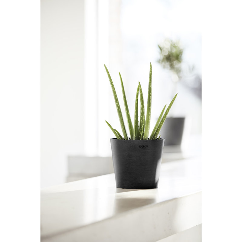 Dark Grey 7-Inch Recycled Plastic Indoor/Outdoor Planter