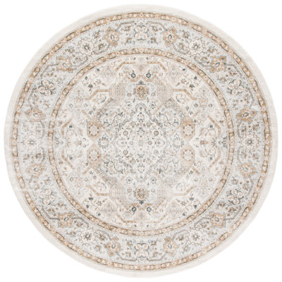 Gaige Performance Oriental Rug