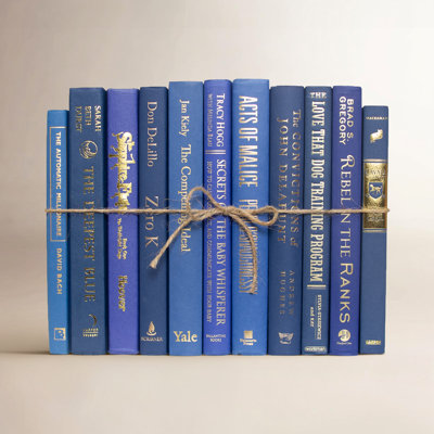 Serefina Decorative Books - Denim & Gold Book Bundle - 1 Foot of Blue Books