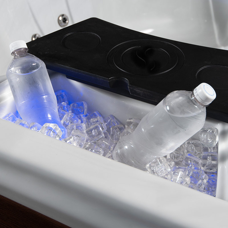 Insight 5-6 Person 34-Jet, 73-Port Acrylic Lounger Spa with Ice Bucket by Aqualife by Strong Spas, Gray