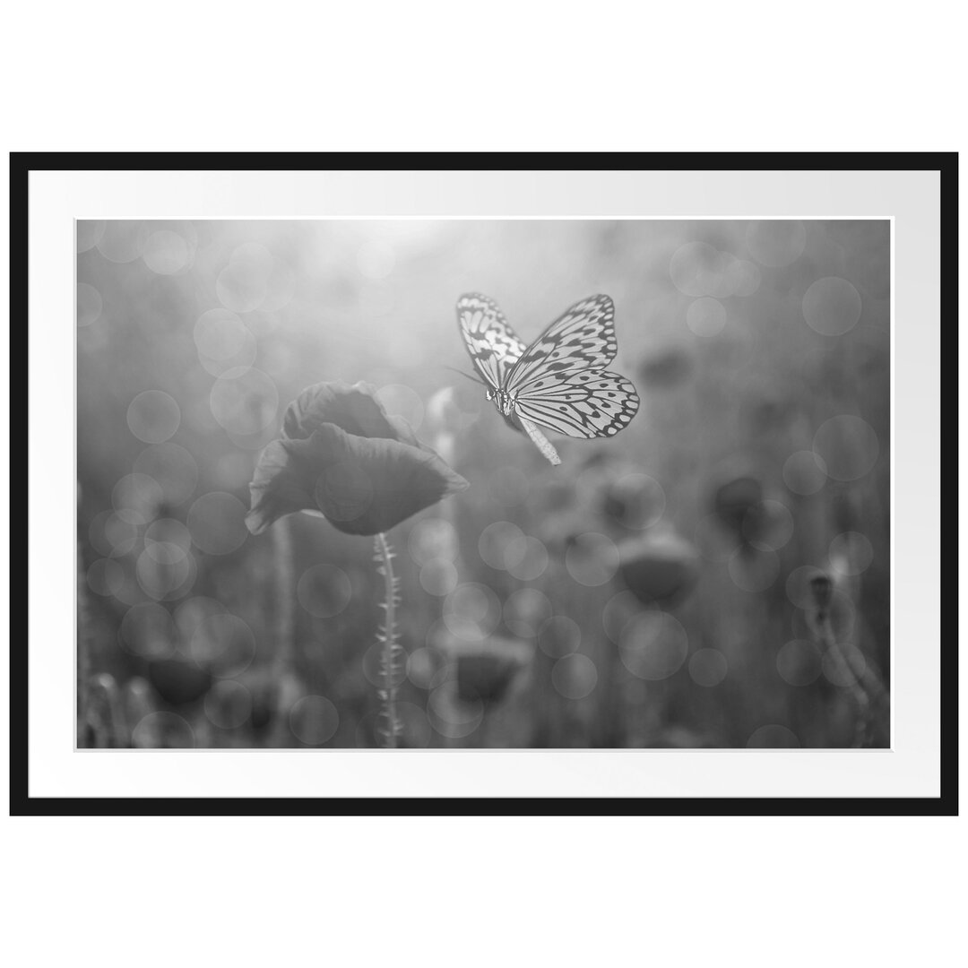 Gerahmtes Poster Mohn und Schmetterling