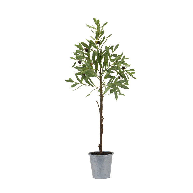 Polyester en pot d'olivier H 31,5 po