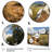 " Prairies Duck Friends North "-1663522090-1663522095