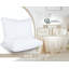 Polyester L75 x W50cm Extra Plush Support Pillow (Set of 2)-98703535