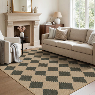 Ainsley Checkered Area Rug, 8x10 Outdoor Rug, Washable Area Rug, Non Slip Woven Plaid Carpet