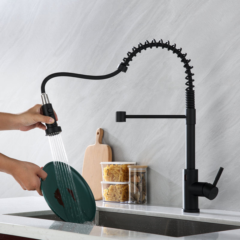 Pièces de rechange pour douchette extractible pour robinet de cuisine 3 modes avec 11 adaptateurs, Noir mat