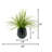 Faux 21" Grass In Black Prism Ceramic