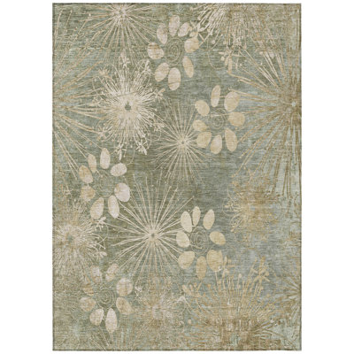 Machine Washable Indoor/Outdoor Kaczor ACN2225 Floral Rug