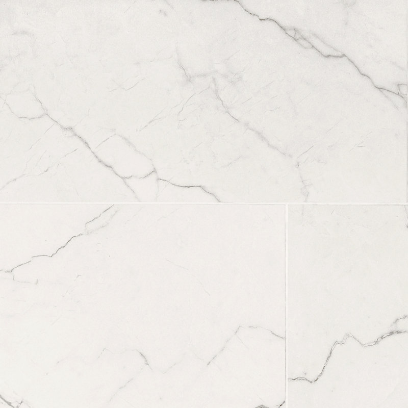 Beldale 24 in. x 48 in. Polished Porcelain Marble Look Floor and Wall Tile, Gravelle