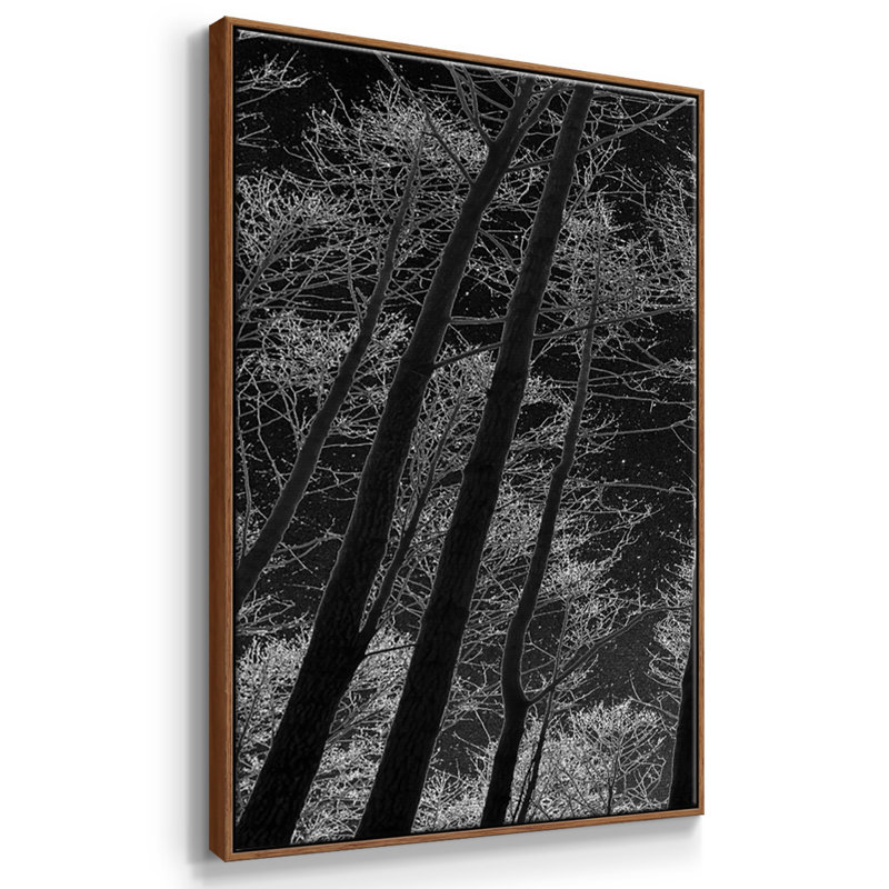 Ciel nocturne encadré sur toile, 3 pièces, Noyer, H 36 po x l 75 po x P 2 po