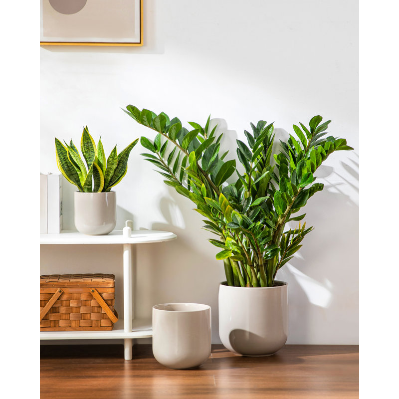 Ceramic Pot Planter, Grey