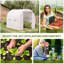 Haralson Polytunnel Greenhouse Roll Up Door Mesh Windows-36091498