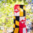 Maryland 40" Windsock