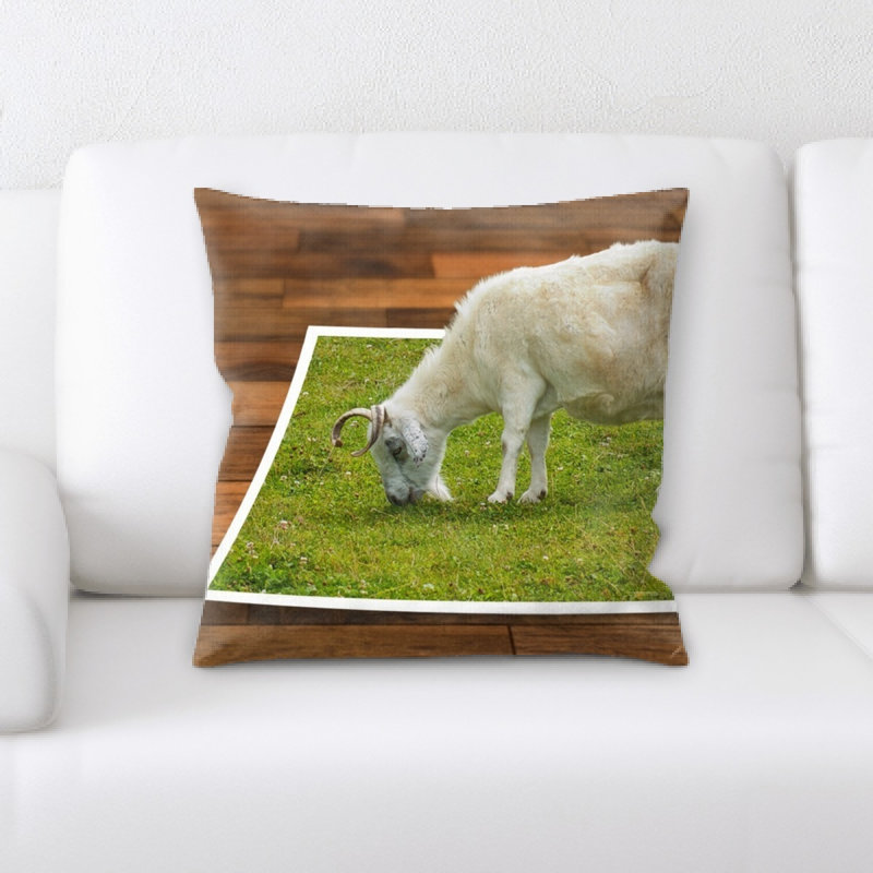 Coussin décoratif image editing
