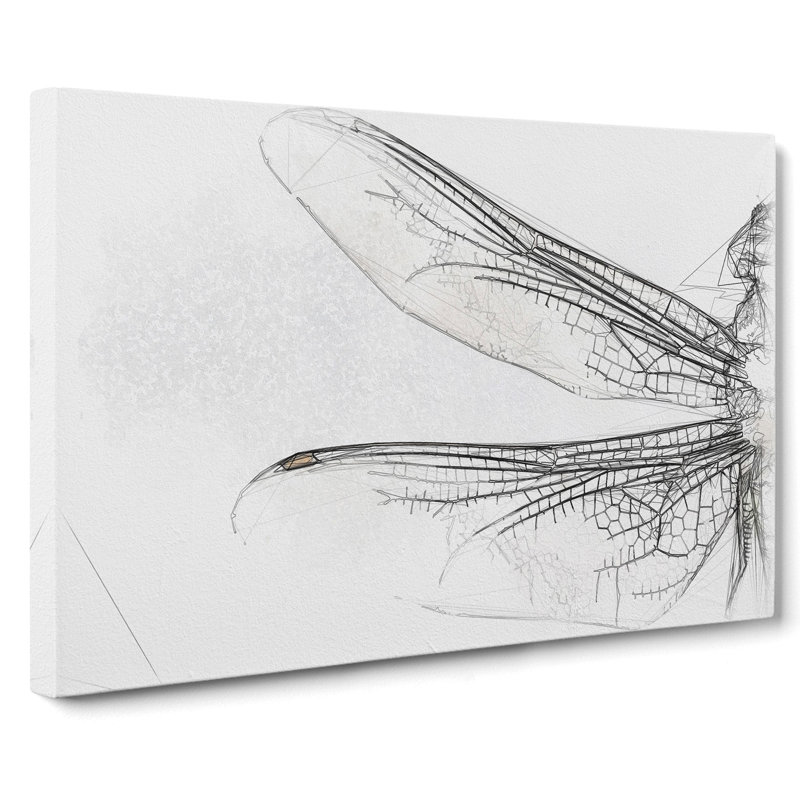 Dragonfly Vol.1 Sketch - Wrapped Canvas, 60cm H x 91cm W x 3cm D