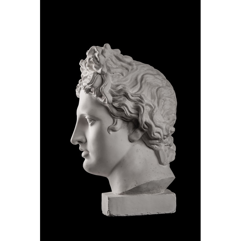 Apollo's Head by Kozlik_Mozlik - Wrapped Canvas Print, 46cm H x 30cm W x 3.8cm D