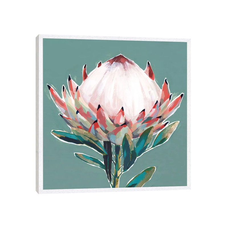 Blooming King Protea by Isabelle Z - Painting on Canvas, White Framed, 93.98 cm H x 93.98 cm W