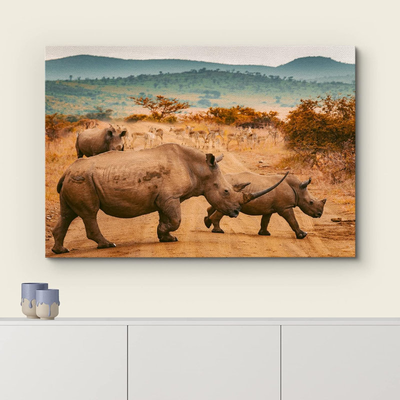 Animaux, savane africaine, safari, jungle, rhinocéros, Toile tendue, H 16 po x l 24 po x P 1,5 po
