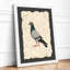 Pigeon Study Vintage - Print-72259994-72259985