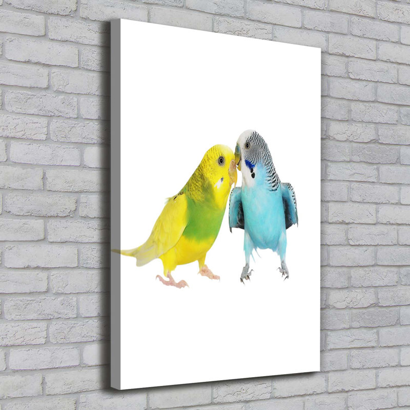 Budgies 1 Piece Wrapped Canvas Wall Art