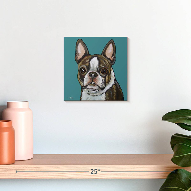 Crowle Sasha Boston Terrier sur sarcelle, H 10 po x l 10 po