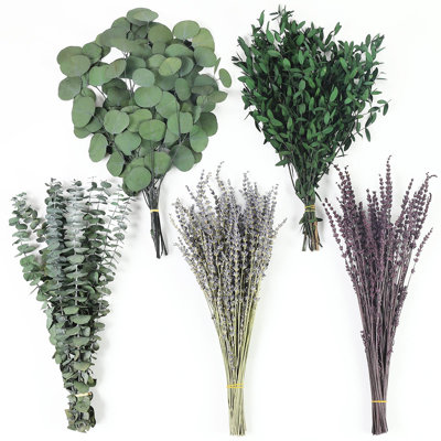 Plus de 130 pièces de lavande séchée et d'eucalyptus pour la douche, plante d'eucalyptus frais, plantes de lavande vivantes pour l'intérieur, bouquet de fleurs de lavande véritable, feuilles d'eucalyptus séchées, feuilles pour vase