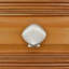 1 1/2" Seashell Knob-126755986-104673476-39948804