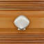 1 1/2" Seashell Knob-39948804-104673476-126755986