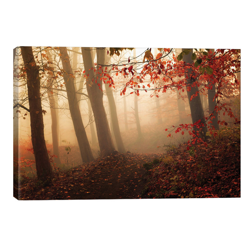 Towards The Light by Leif Londal - Wrapped Canvas Print, 101.6 cm H x 66.04 cm W x 3.175 cm D