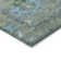 Machine Washable Indoor/Outdoor Kaczor ACN2229 Global Rug