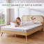 Matelas en mousse viscoélastique Lovanna pour une nuit fraîche et un soulagement de la pression, sensation de fermeté moyenne-1026252407