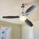 Conklin 48'' Ceiling Fan with LED Lights