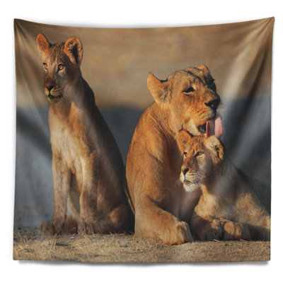 Lionne africaine avec ses petits prenant sa tapisserie relax