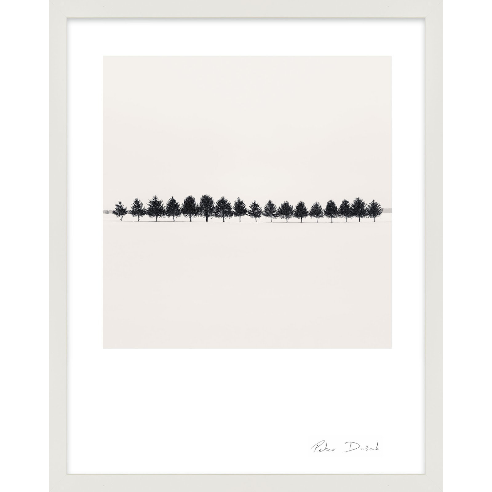 Seventeen Trees by Peter Dušek, White, 25" H x 20" W x 1.25" D