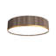 Ceiling Accord Cylindrical-1968834039-1968834040