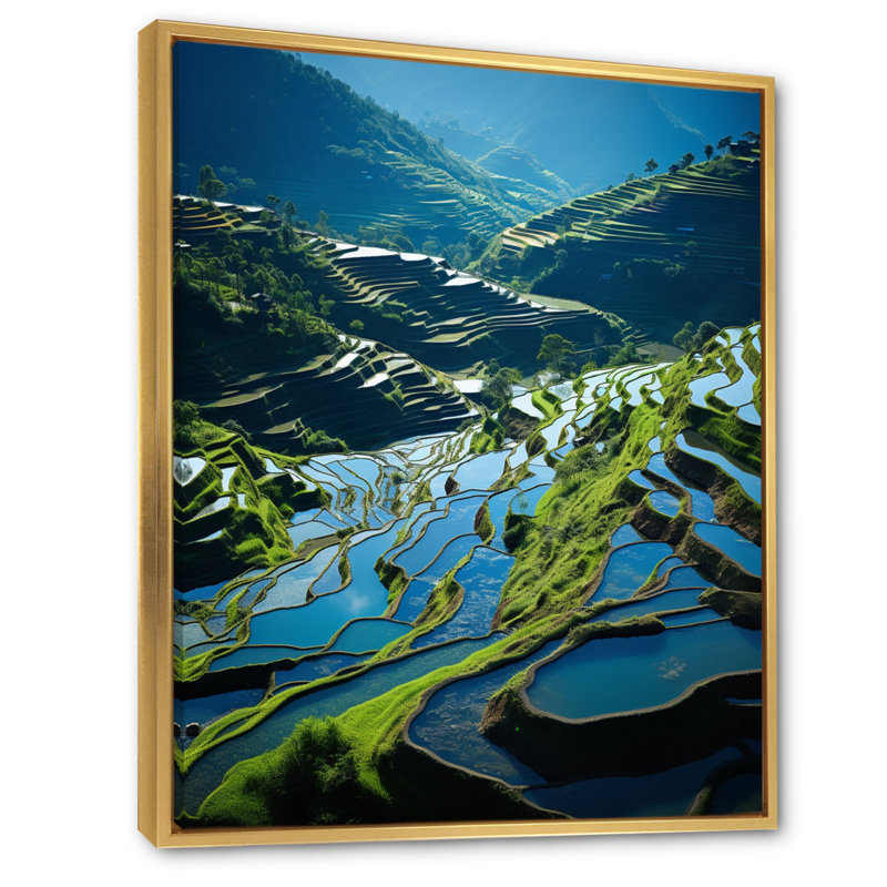 Terrasses de riz Bradway China Azure IV, H 44 po x l 34 po x P 1,5 po, Cadre flottant doré