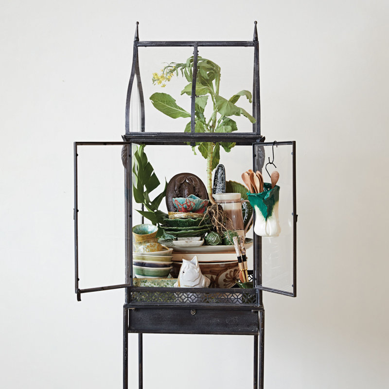 Botanist 74.75'' H x 21.25'' W Iron Display Case