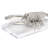 Coastal Animals Figurines & Sculptures