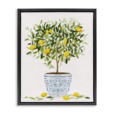 Pot à fleurs Lemon Tree