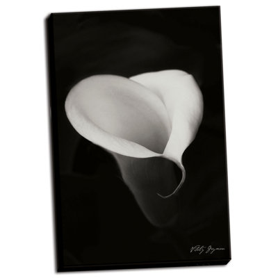 " Calla Lily I " by Vitaly Geyman
