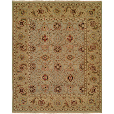 Wool Oriental Area Rug in Brown