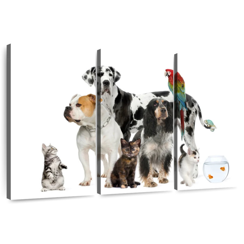 Groupe d'animaux domestiques Brampt, H 20 po x l 33 po