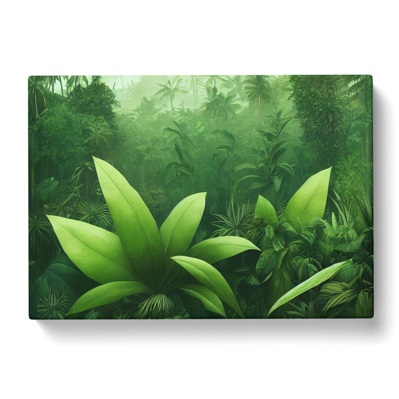 Jungle Plants - Wrapped Canvas Print, 35cm H x 50cm W x 3cm D
