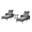 Chaise longue d'extérieur inclinable avec coussins Dahlyla-707313089-707313088