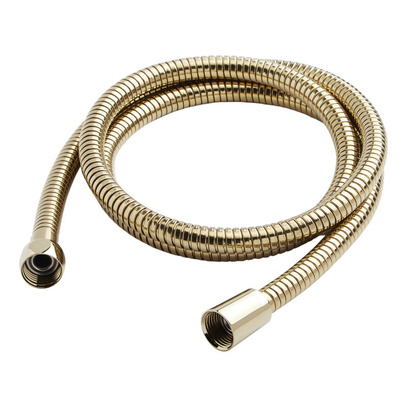 Tuyau de douche à main 60 po FundamentALL, Polished Brass