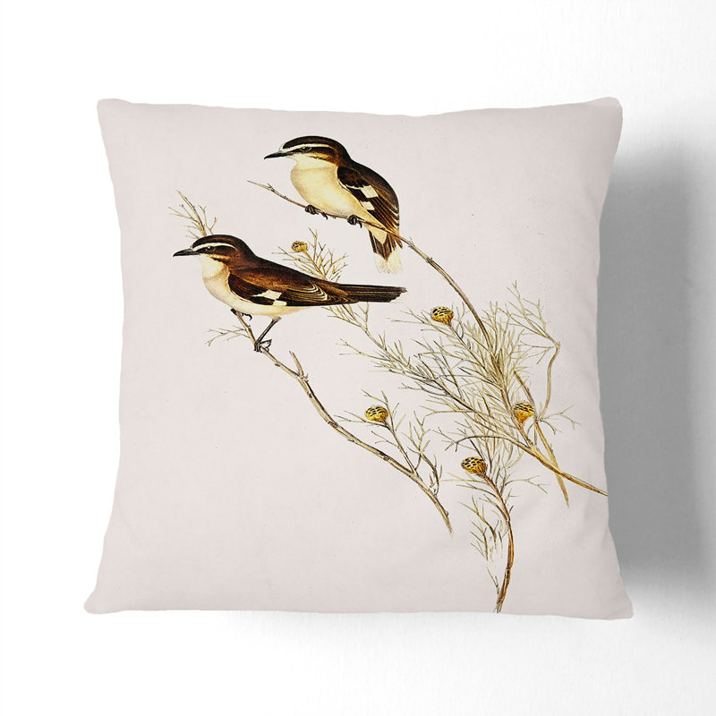 Double Eyebrowed Robins by Elizabeth Gould Cushion with Filling, 55cm H x 55cm W x 20cm D