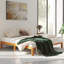 Lit plateforme 12 po-791674044-780125987