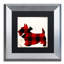 «Jadaya Scotty I» par Color Bakery, impression encadrée-20484789-70902649-20484787