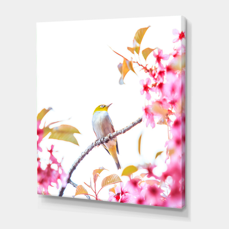 Oiseau sur une fleur de cerisier - Photographie sur toile, H 40 po x l 30 po x 1,5 po, Toile tendue